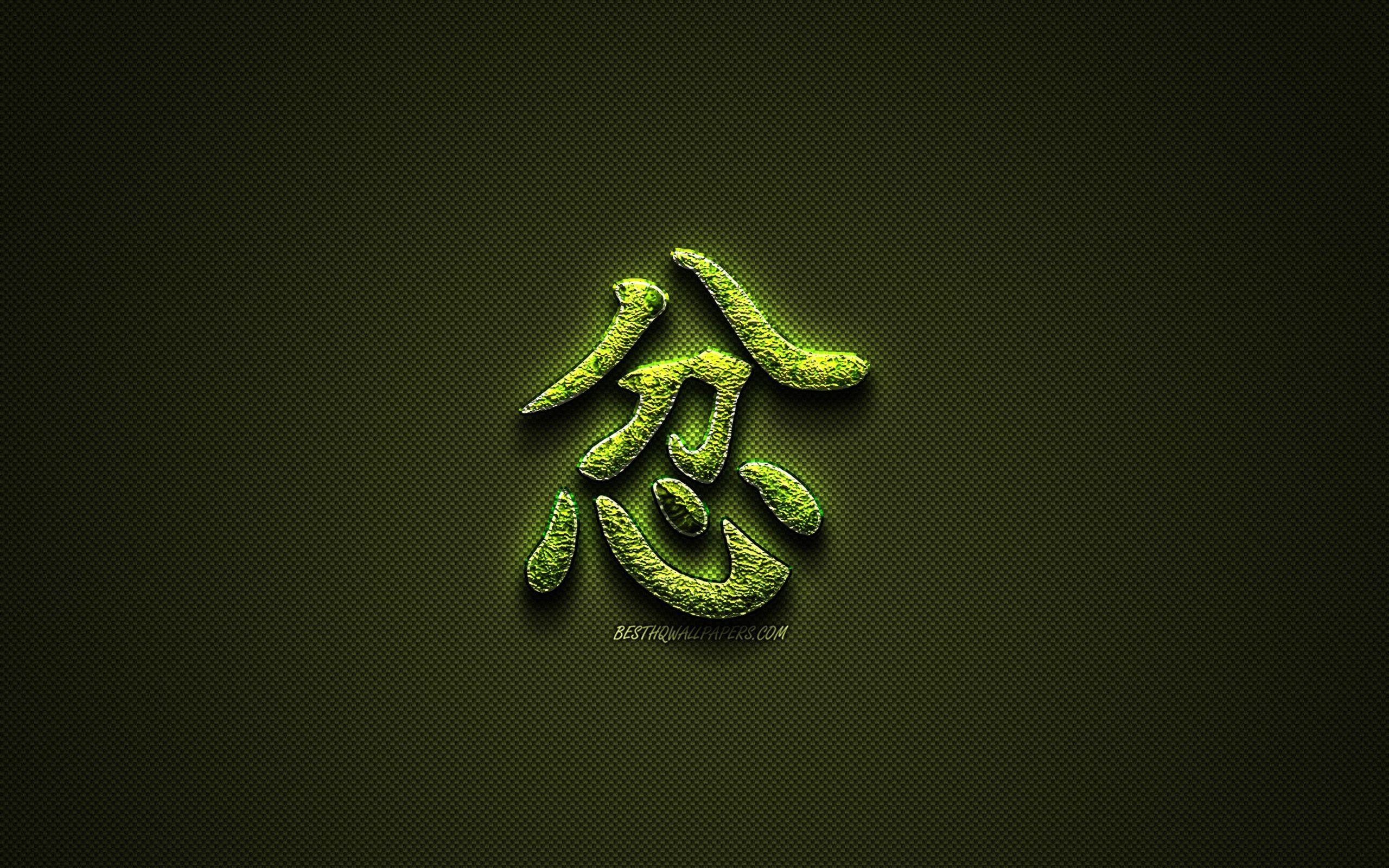 2560x1600 Download wallpaper Anger Kanji hieroglyph, green floral symbols