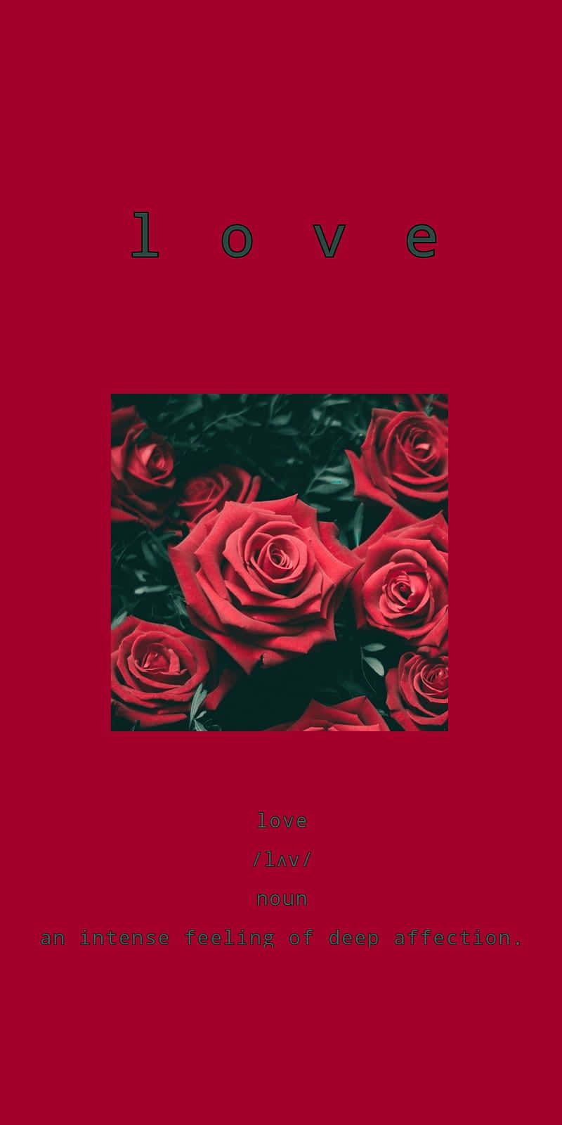 800x1600 Romantic Aesthetic Wallpaper