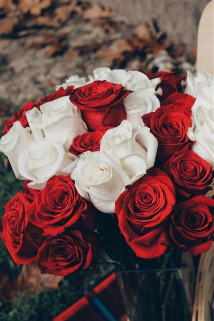 736x1104 Romantic Valentine's Day Aesthetic Wallpaper For Your Phone!
