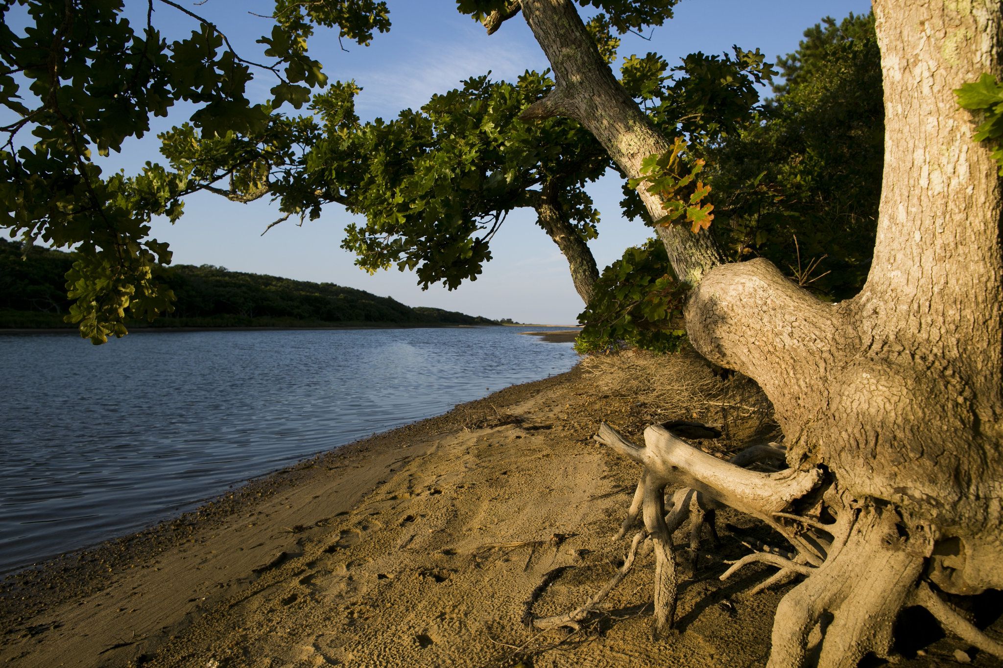 2048x1365 The Magic of Swimming on Martha's Vineyard