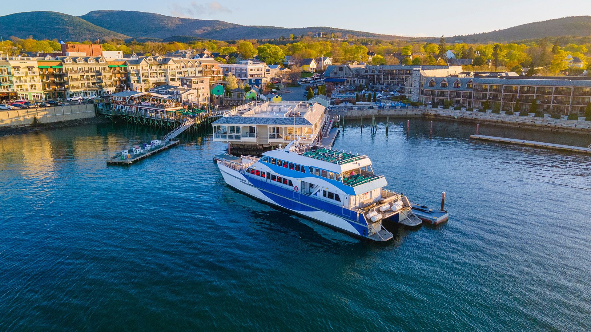 1920x1080 Q&A With Bar Harbor Whale Watch Co