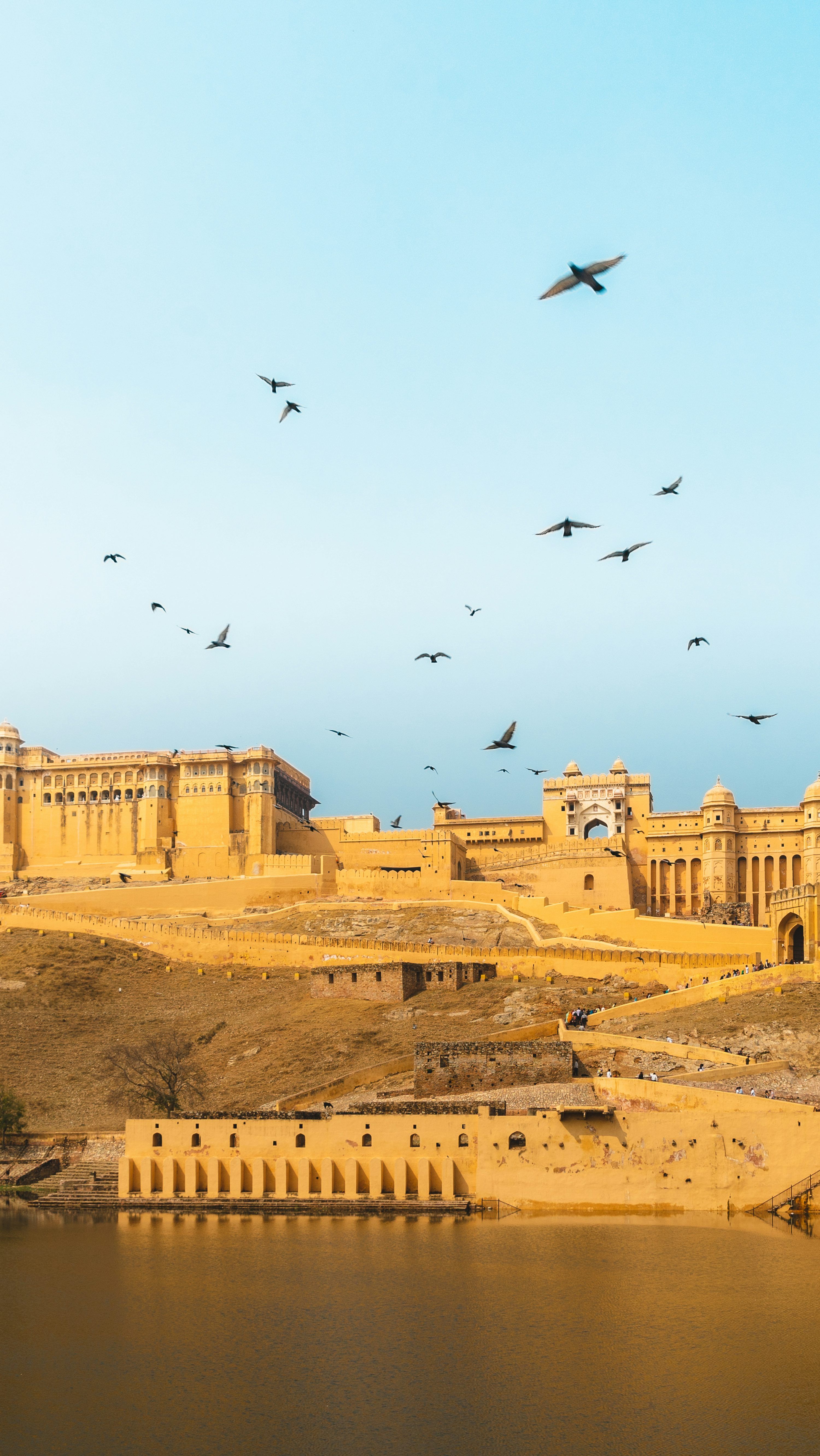 3000x5329 Amber Fort Picture. Download Free Image