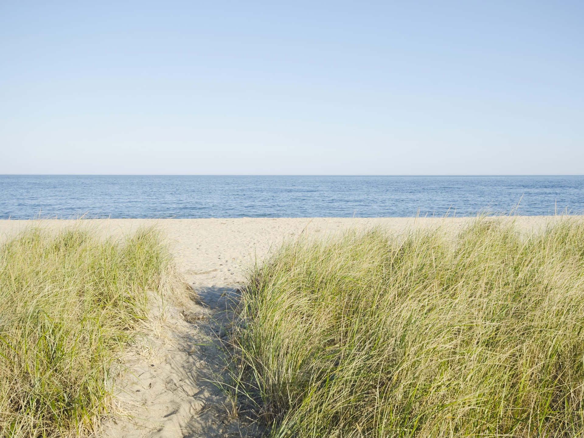 1920x1440 Download Grass Beach New England Summer Wallpaper