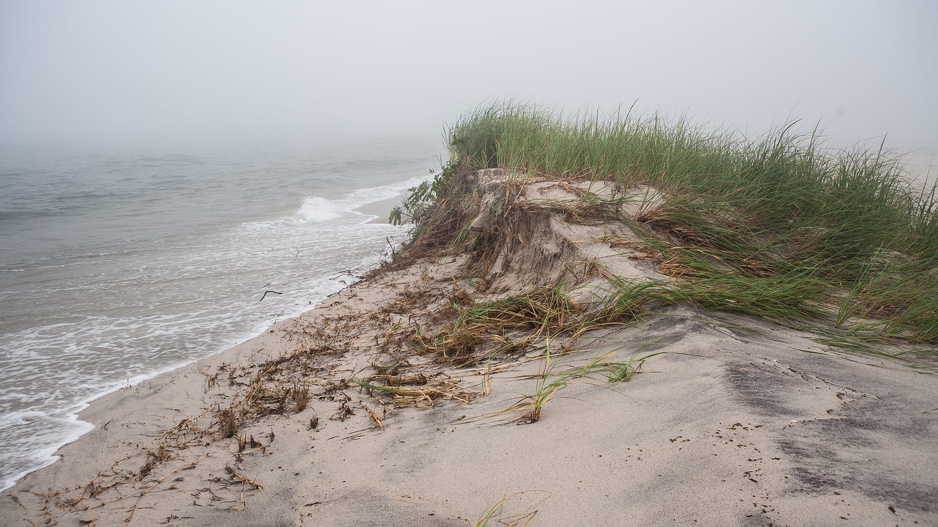 1920x1080 Study Finds No Direct Link Between North Atlantic Ocean Currents, Sea Level Along New England Coast