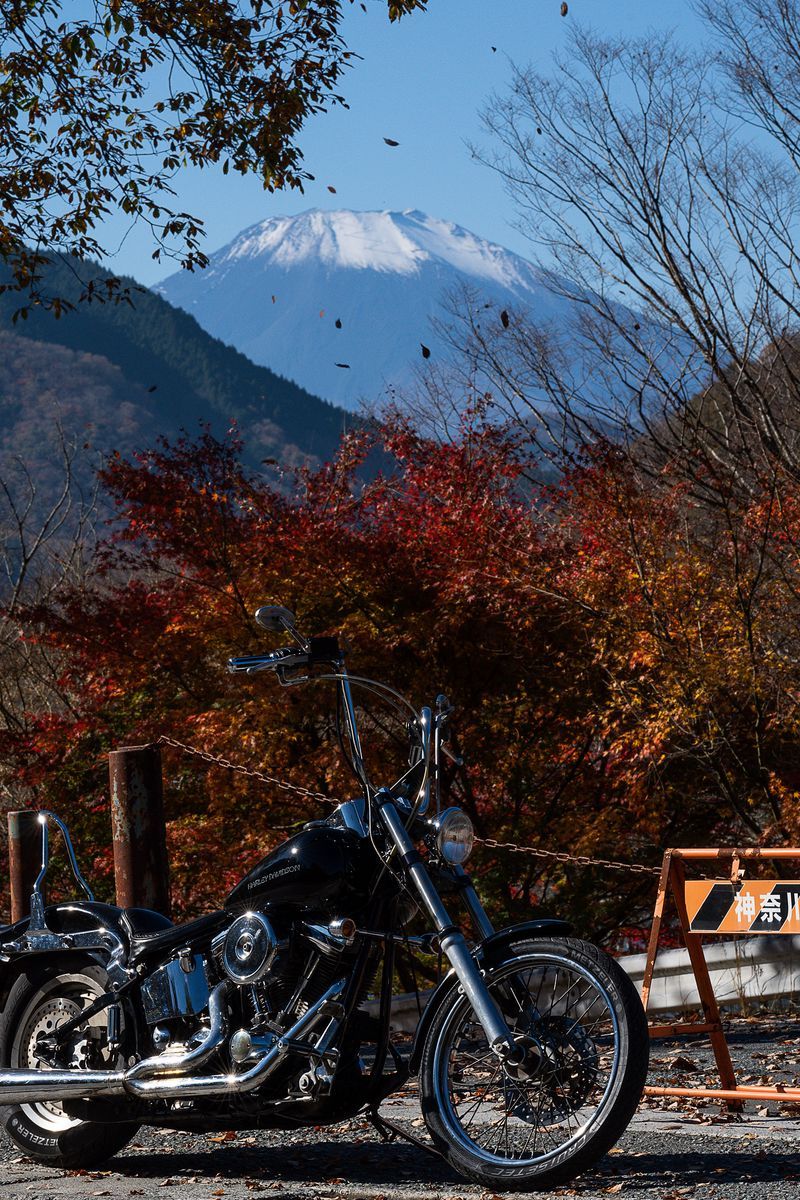 800x1200 Download Wallpaper 800x1200 Motorcycle, Bike, Chopper, Black, Nature, Autumn Iphone 4s 4 For Parallax HD Background