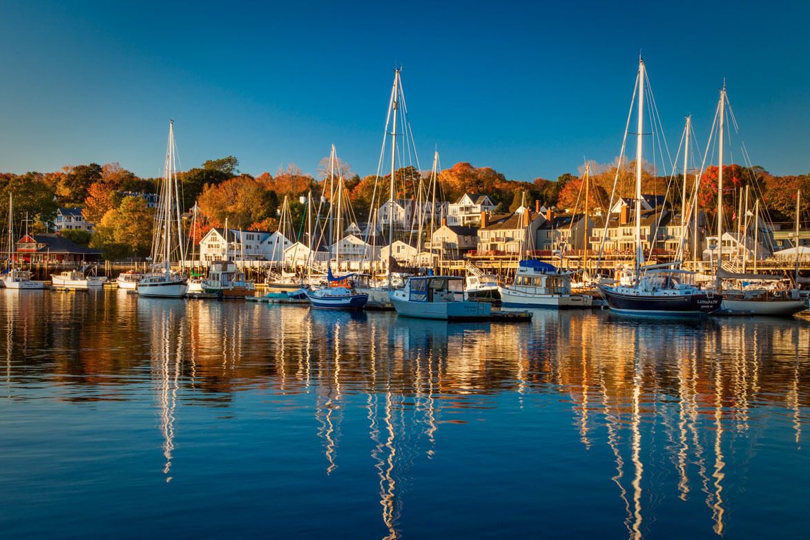 1173x782 Camden Harbor Wall Mural