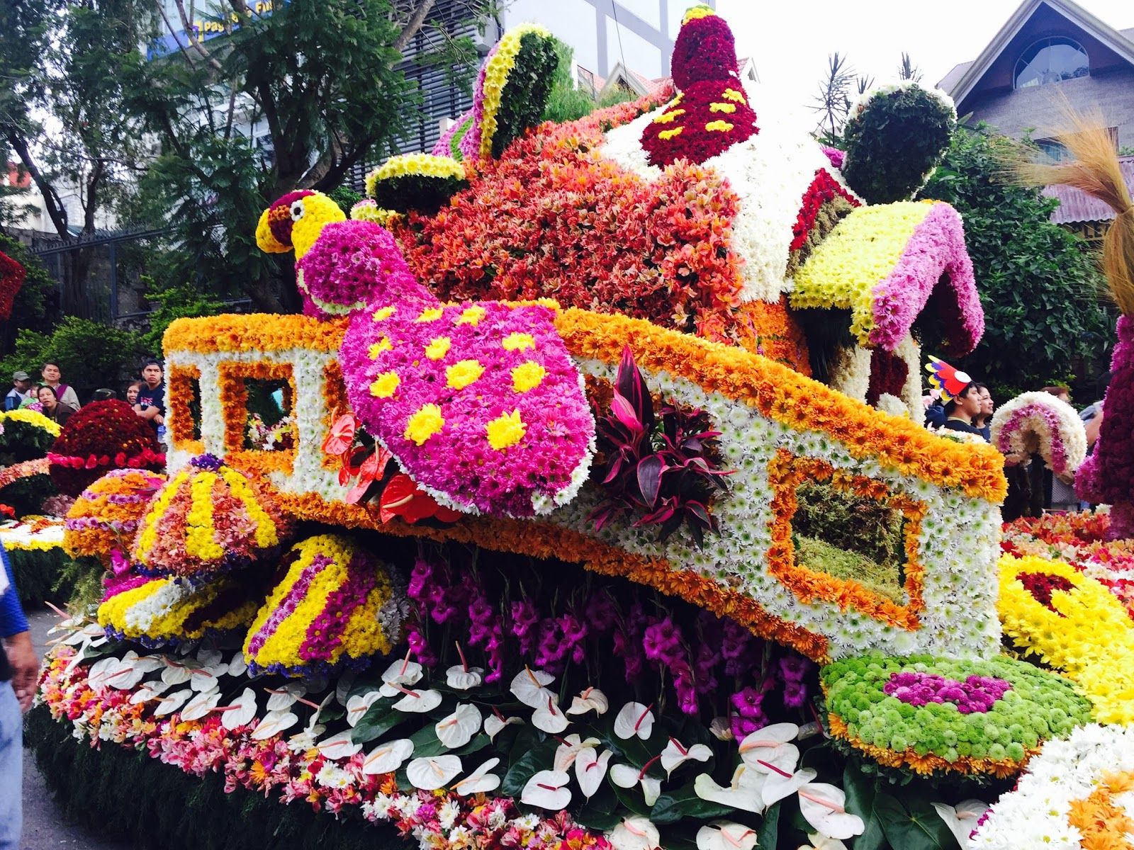 1600x1200 Daily Tribune: Hope Blooms in Baguio