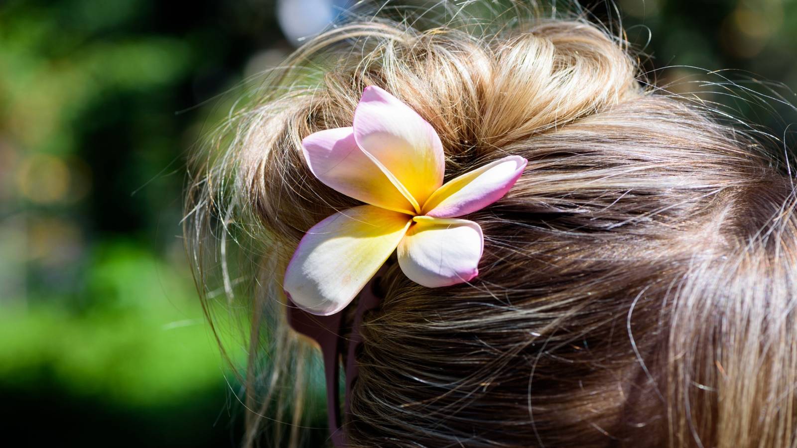 1600x900 Hair Accessories Made From Real Flowers
