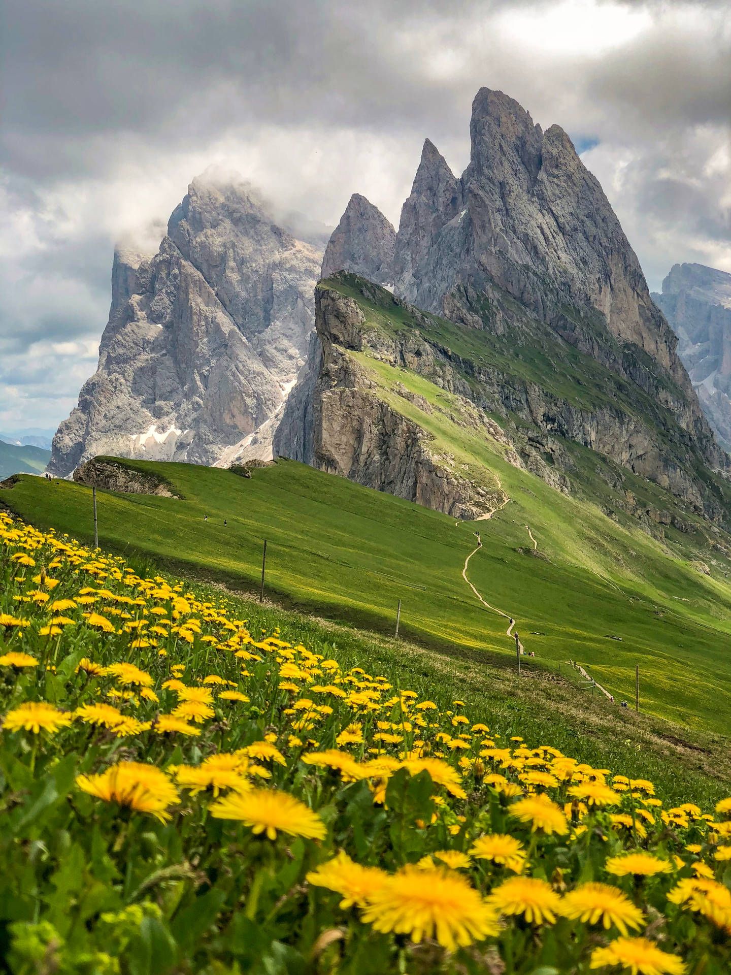 1440x1920 Download Green Hill Seceda Mountain Peak Wallpaper