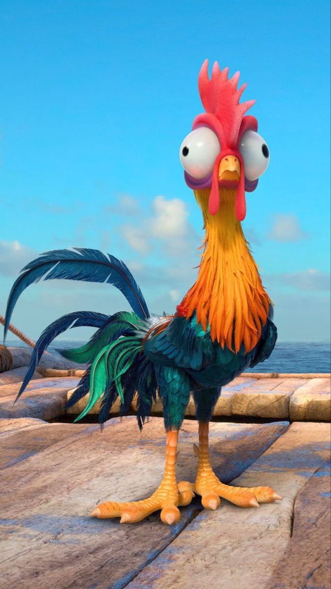 675x1200 Discover 9 Hei Hei wallpaper and moana chicken ideas. moana, disney, disney wallpaper and more