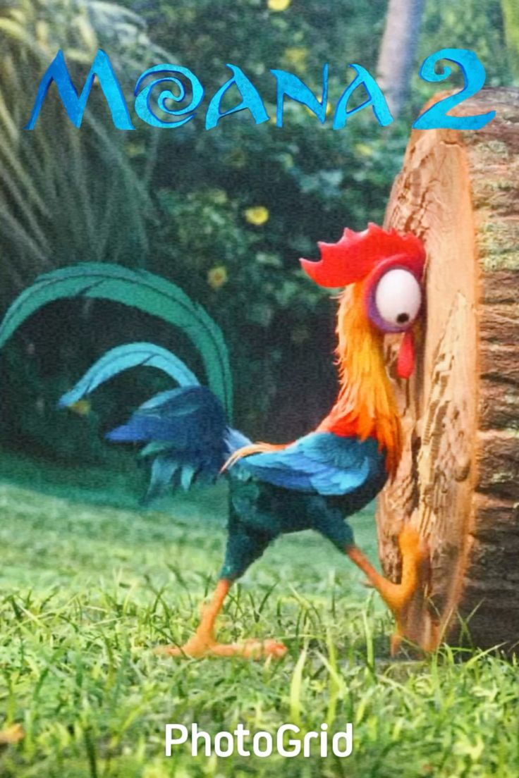 736x1104 Heihei Wallpaper
