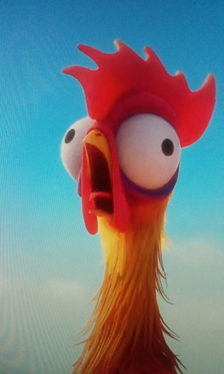 736x1227 Moana heihei. Cute wallpaper, Funny cartoon characters, Cartoon wallpaper