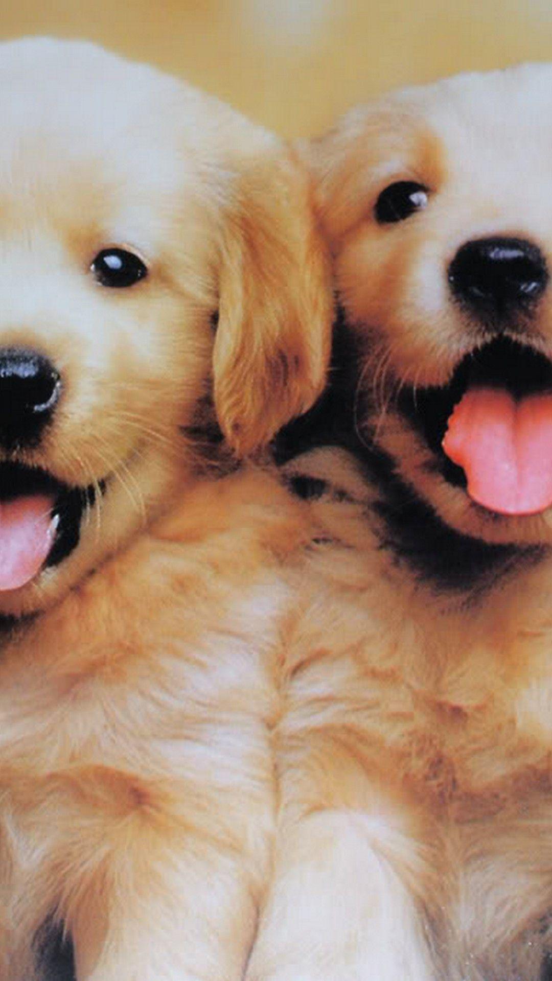 1080x1920 WoowPaper: 3D Cute Dog Wallpaper