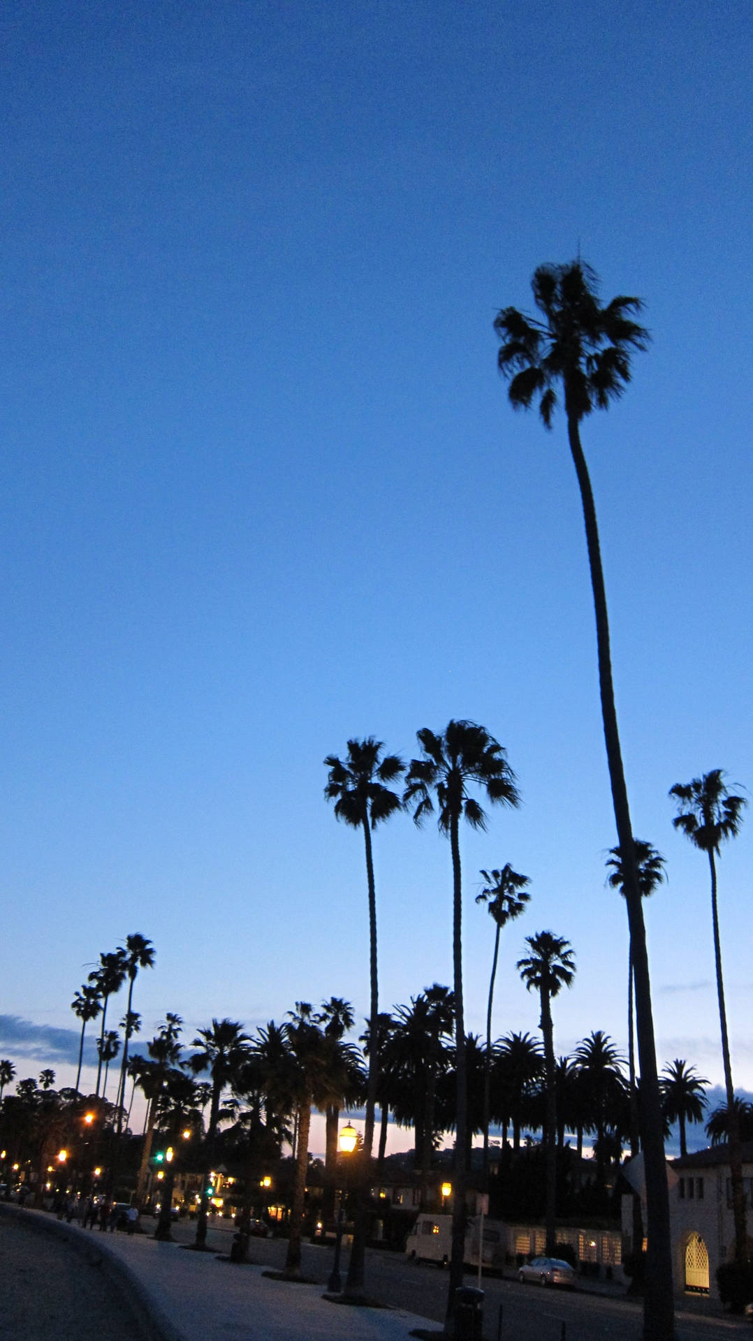 1078x1920 Beach At Night Ucsb Wallpaper