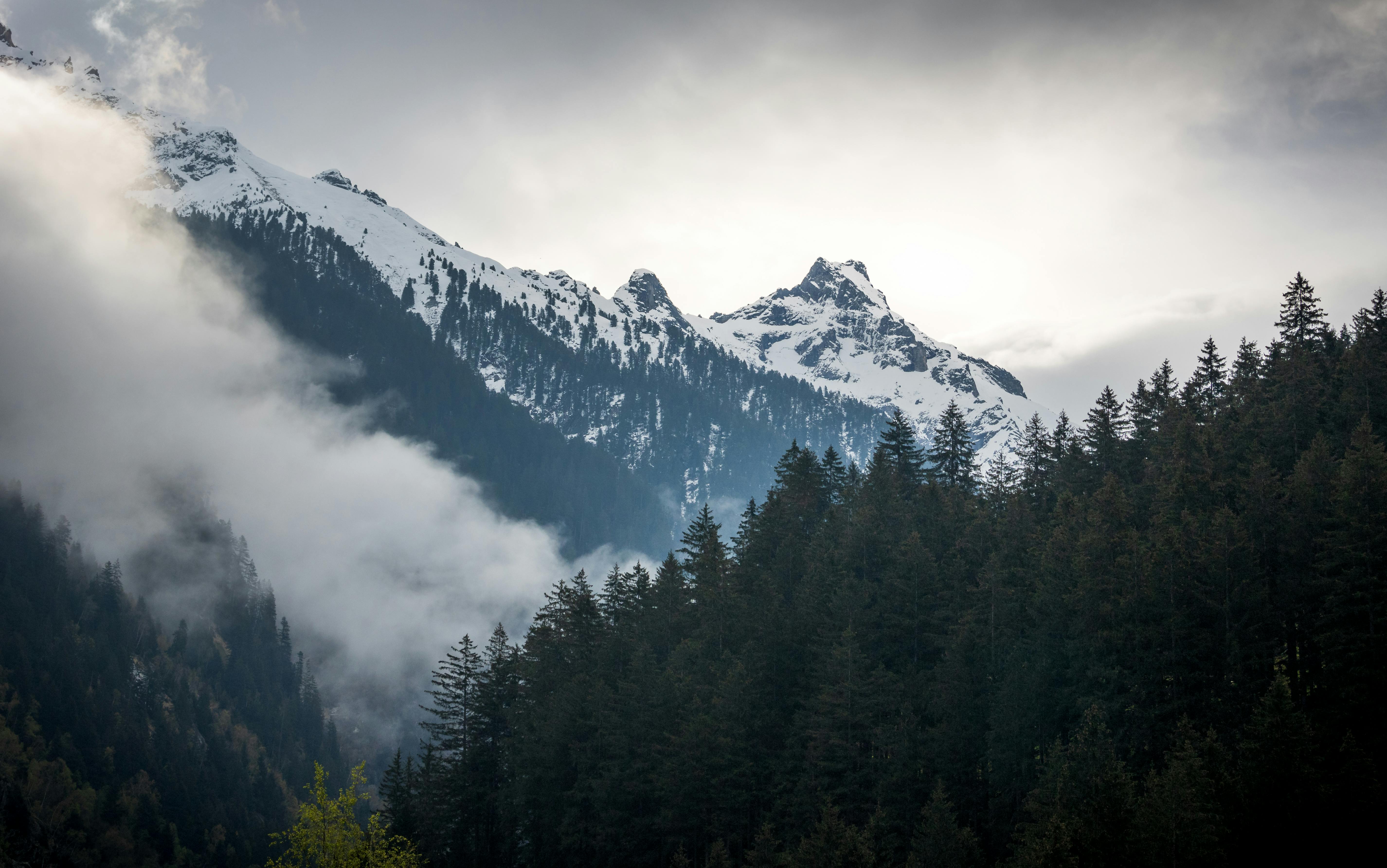 5702x3569 A mountain range with trees and clouds in the background · Free