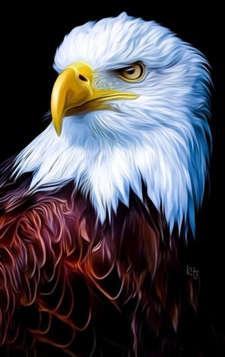 736x1170 Garuda Creations