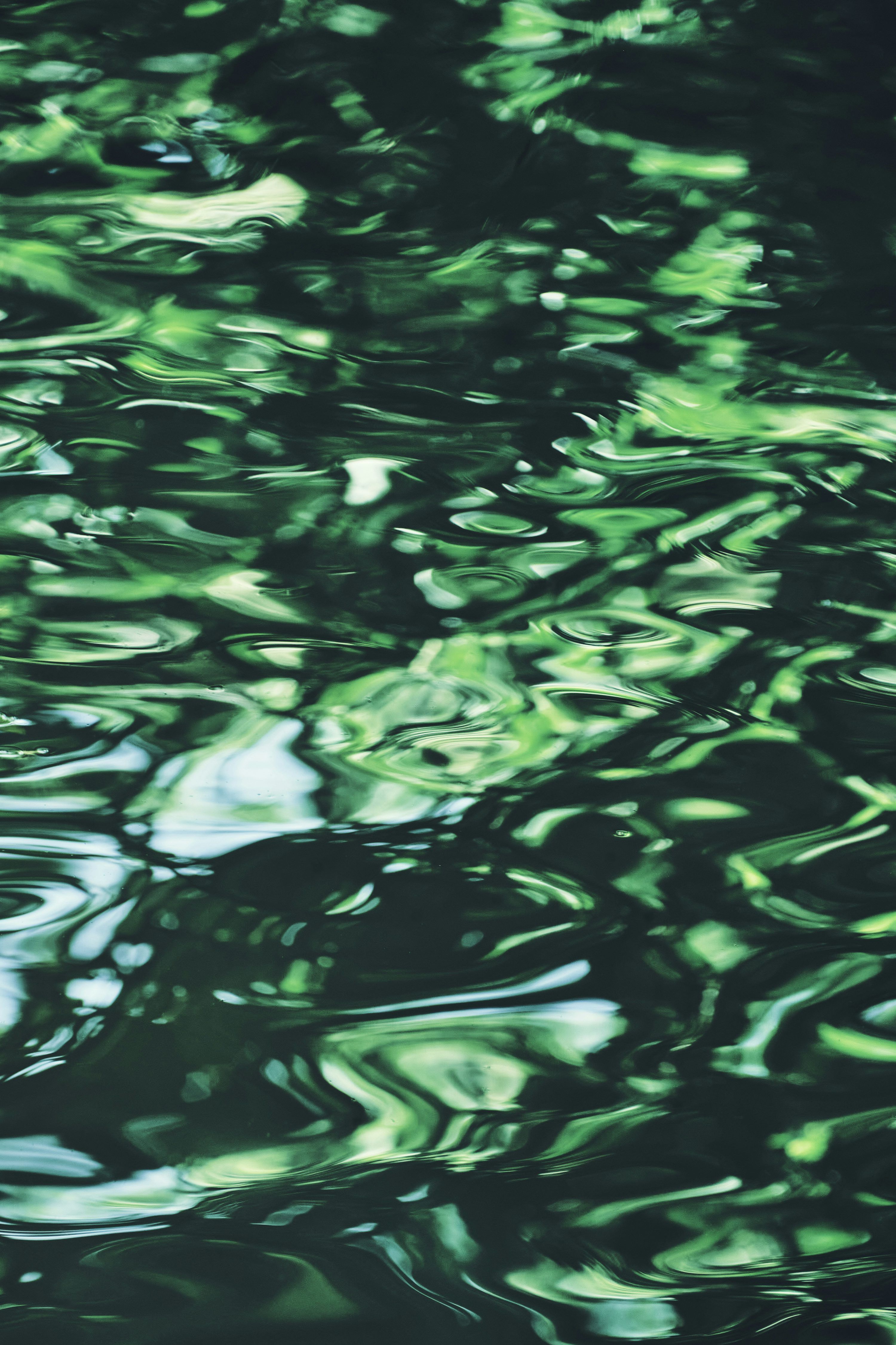3000x4500 Green water ripples with light reflections. photo