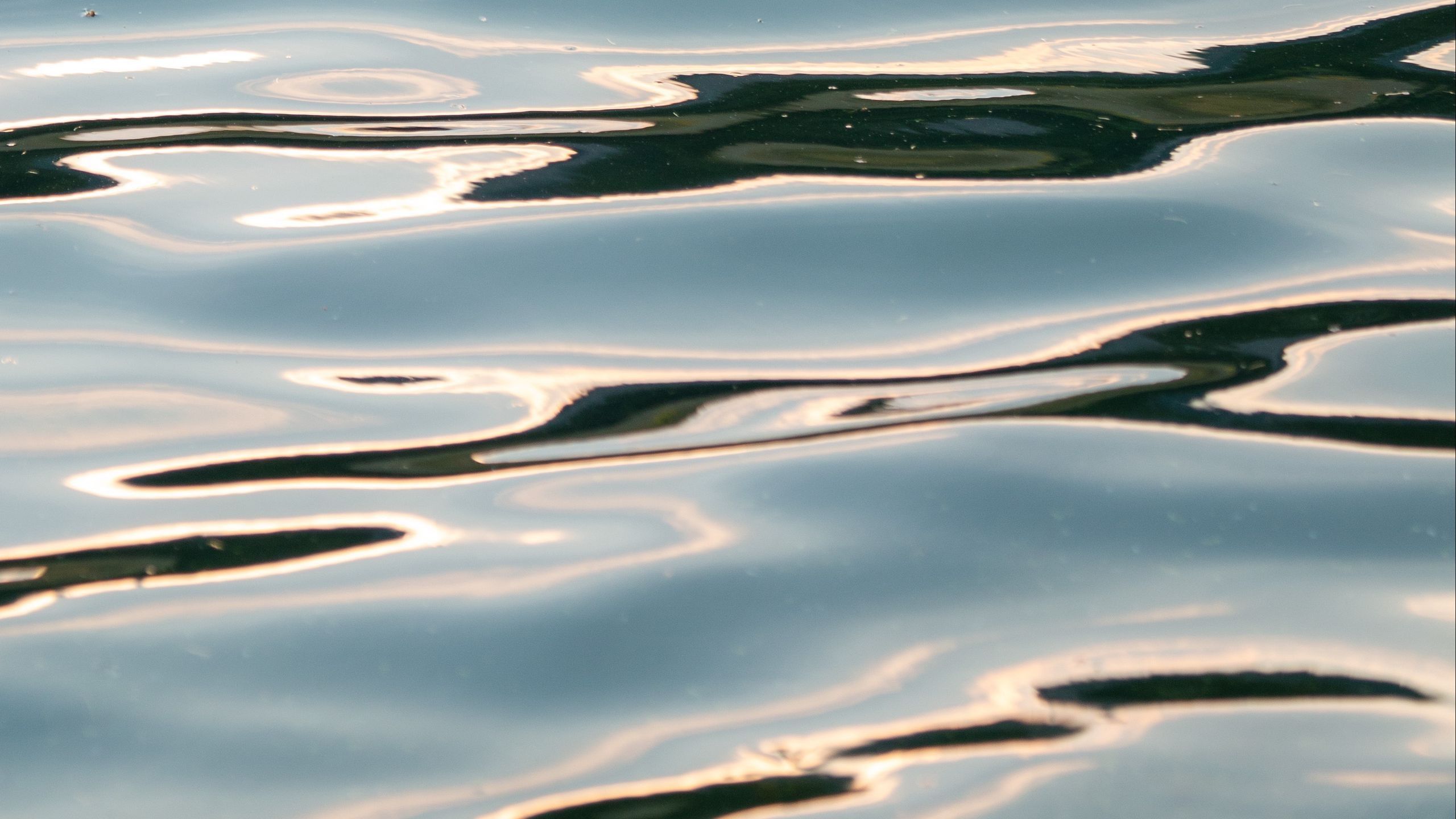2560x1440 Water Ripples Glare Nature Reflection HD Nature Wallpaper