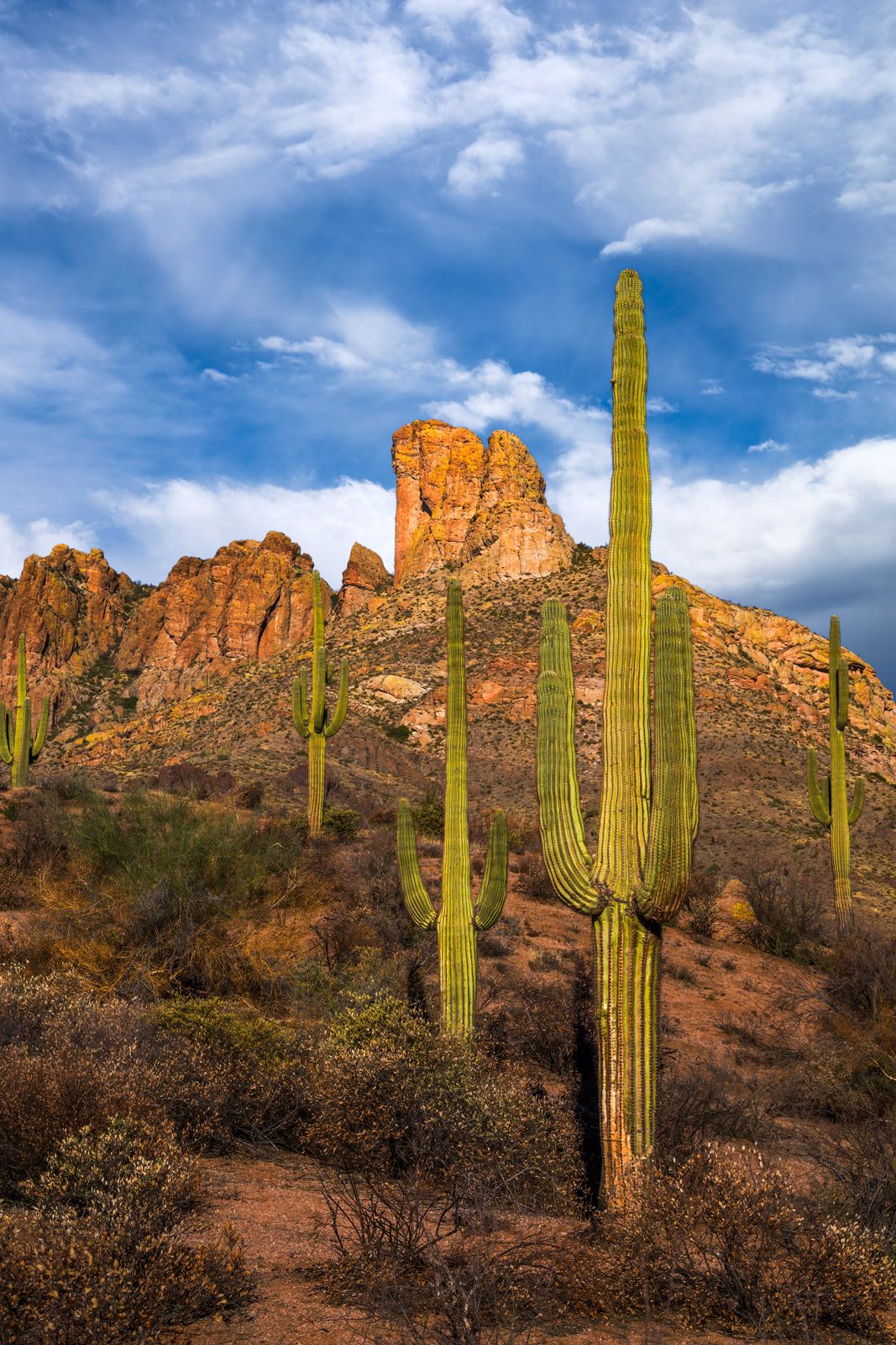 1067x1601 Superstition Mountains Vertical Fine Art Photo. Fine Art Prints By Joseph C. Filer