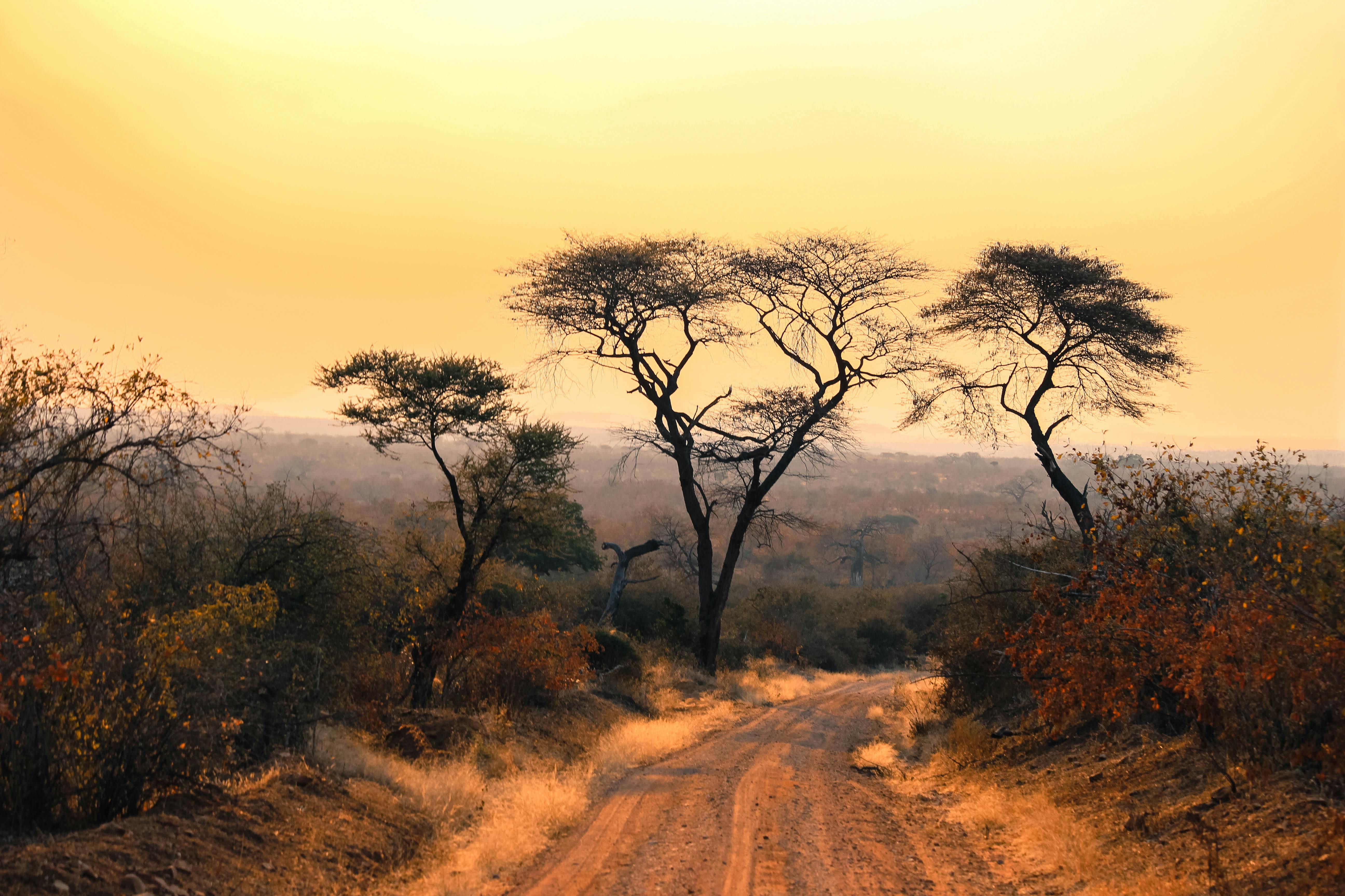 5184x3456 Sunset in African Savannah Landscape · Free