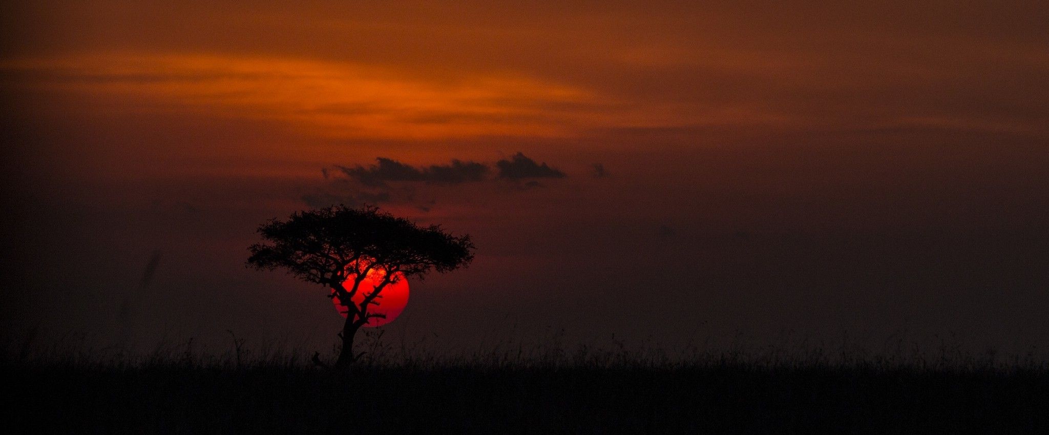 2048x849 nature, Photography, Landscape, Sunset, Trees, Clouds, Red, Grass, Africa Wallpaper HD / Desktop and Mobile Background