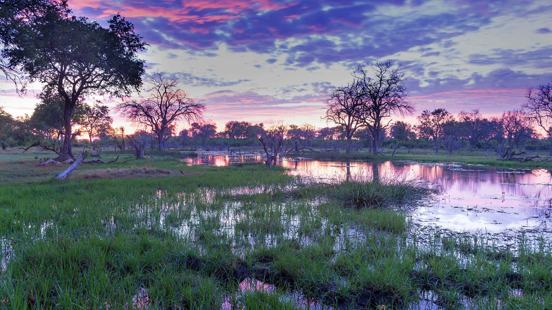 1920x1080 Okavango Delta Wallpaper