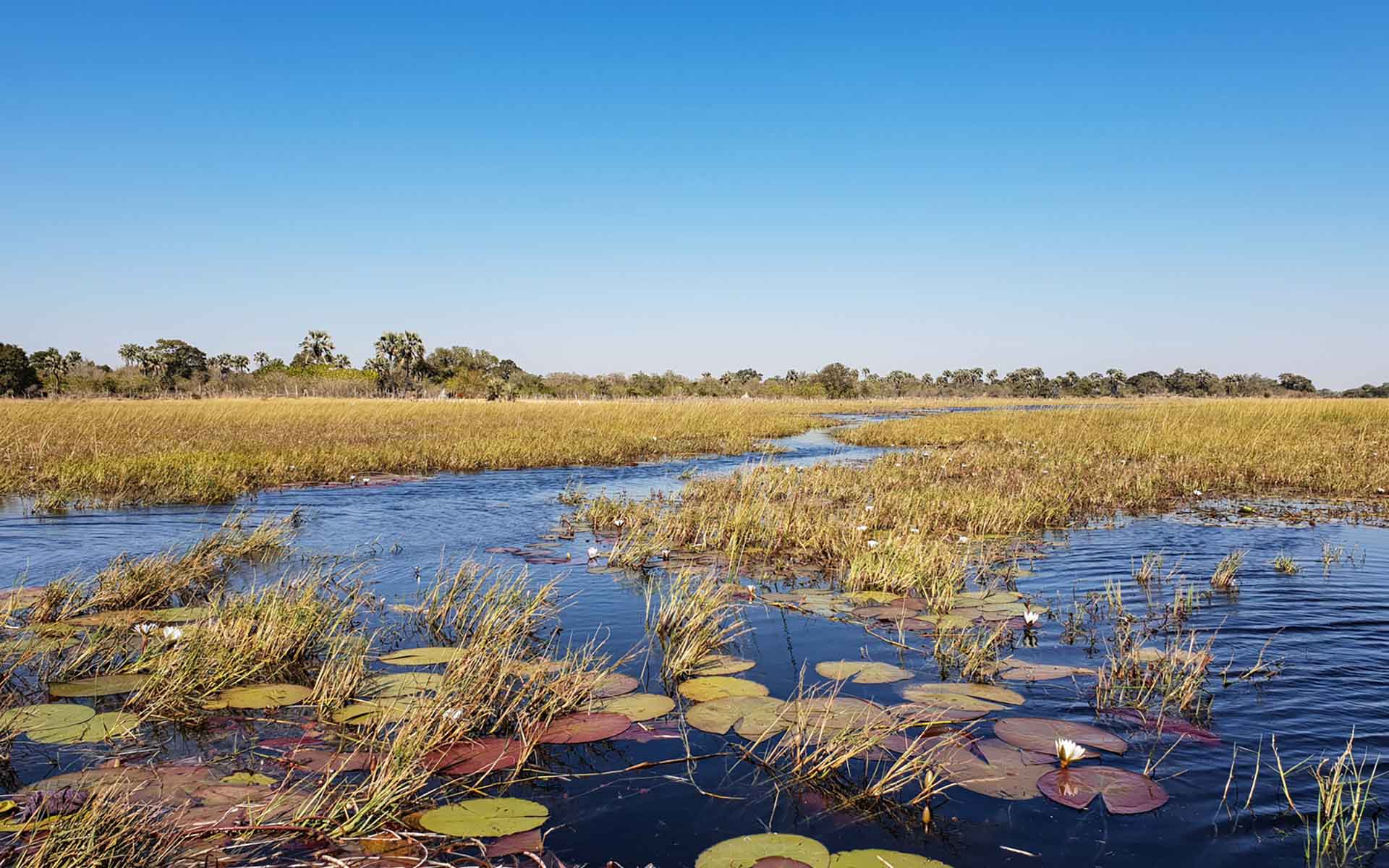 1920x1200 The Okavango Delta