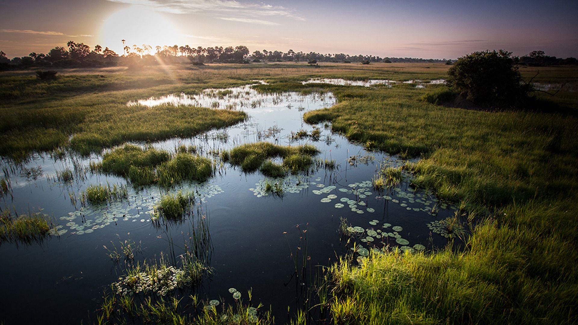 1920x1080 Experience The Okavango Delta In Botswana. &Beyond