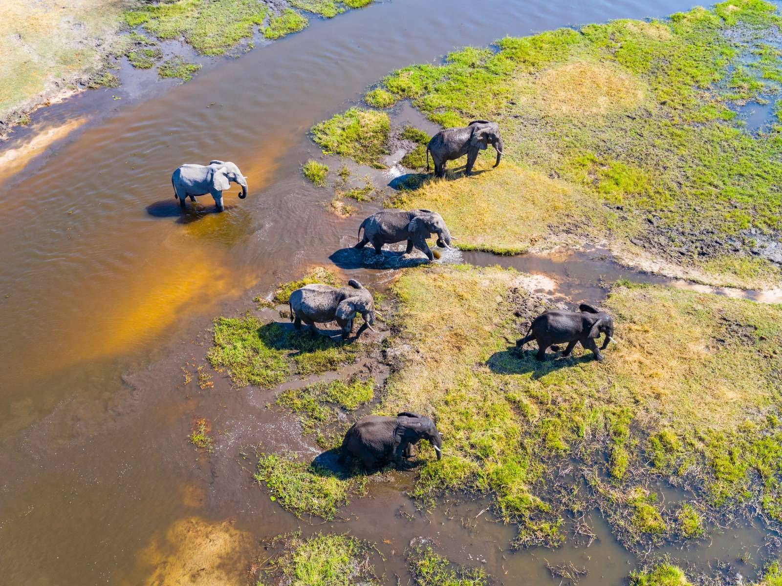 1600x1200 The Okavango Delta • Nature's Masterpiece • Botswana