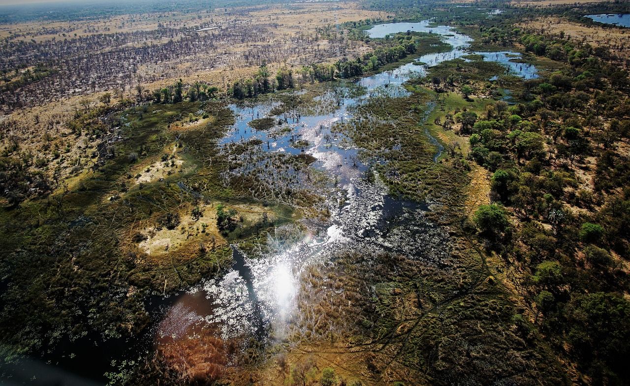 1280x785 Okavango Delta. Seven Natural Wonders of Africa