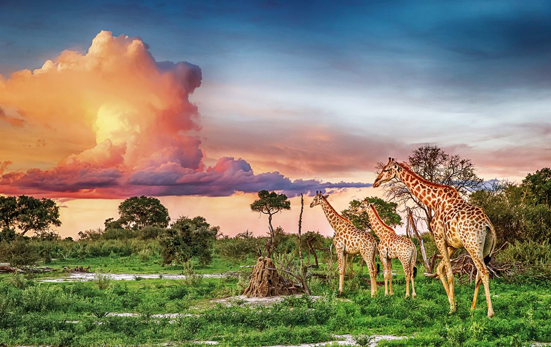 1840x1160 The Okavango Delta, Botswana Africa Destination