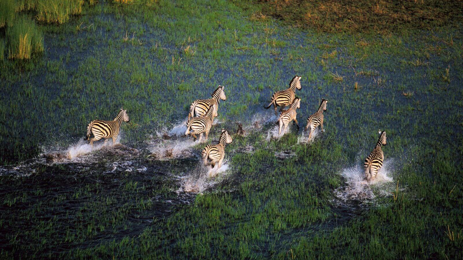 1600x900 Flying the Okavango in Botswana