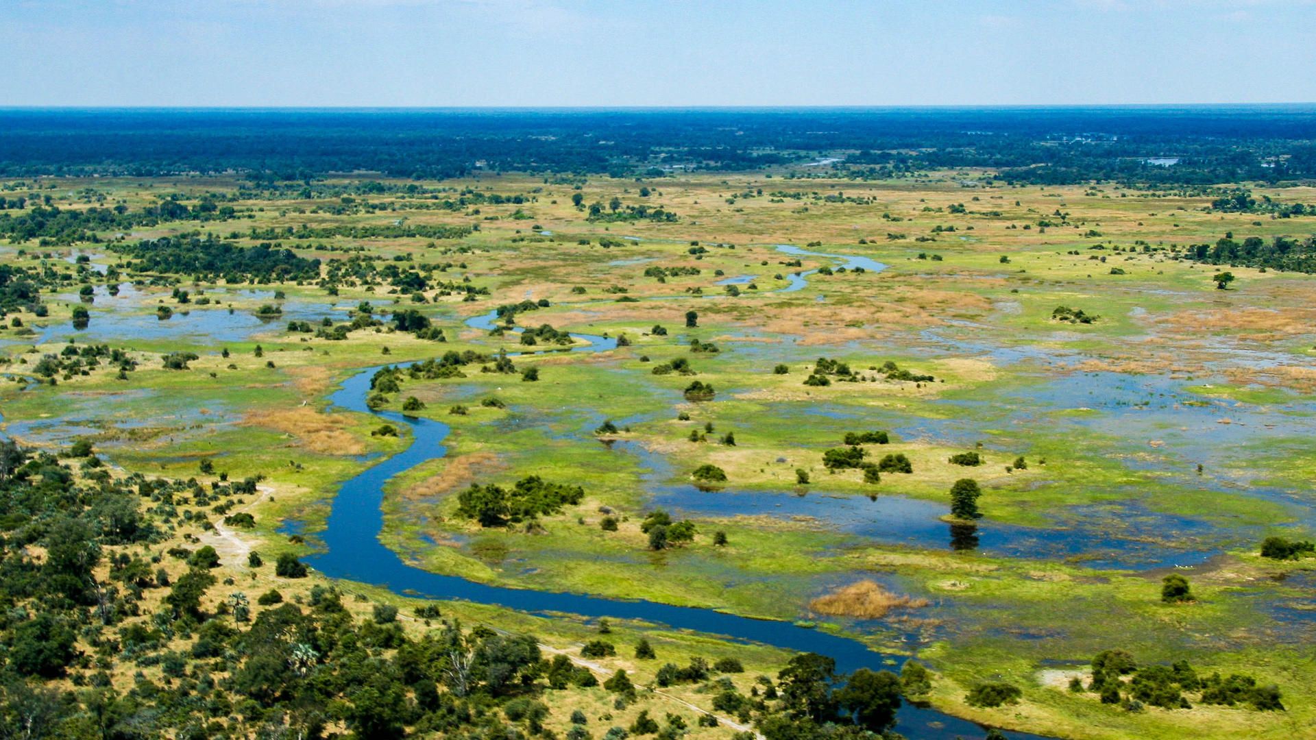 1920x1080 Sample Okavango Delta Safari