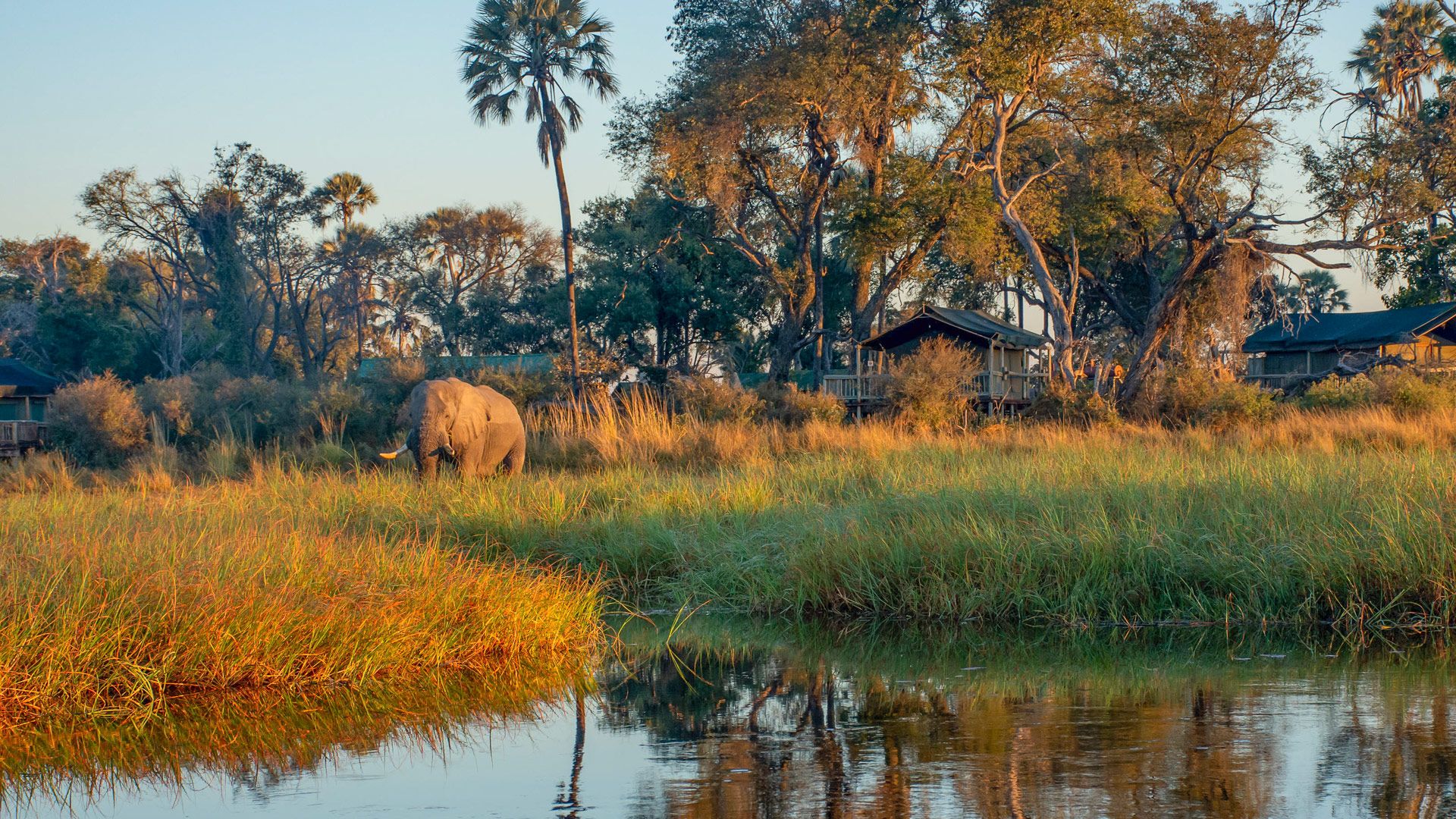1920x1080 Moremi Crossing