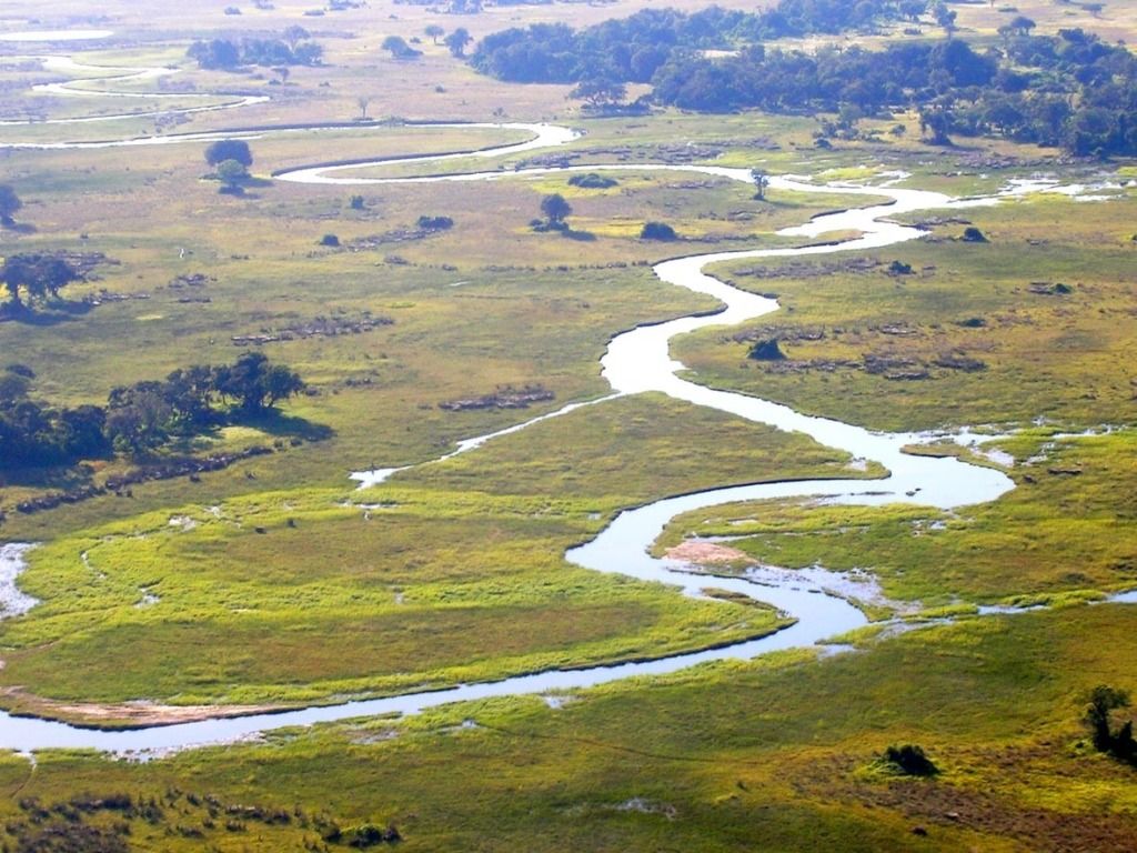 1024x768 Activity: Imagine life as an animal in the Okavango Delta