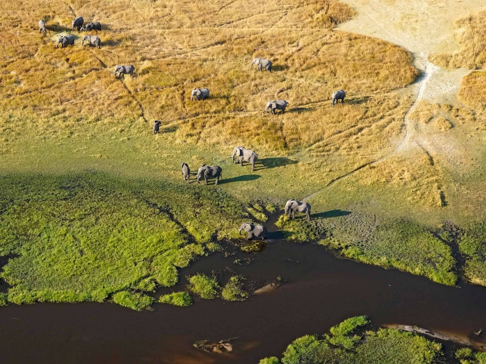 1600x1200 The Okavango Delta • Nature's Masterpiece • Botswana