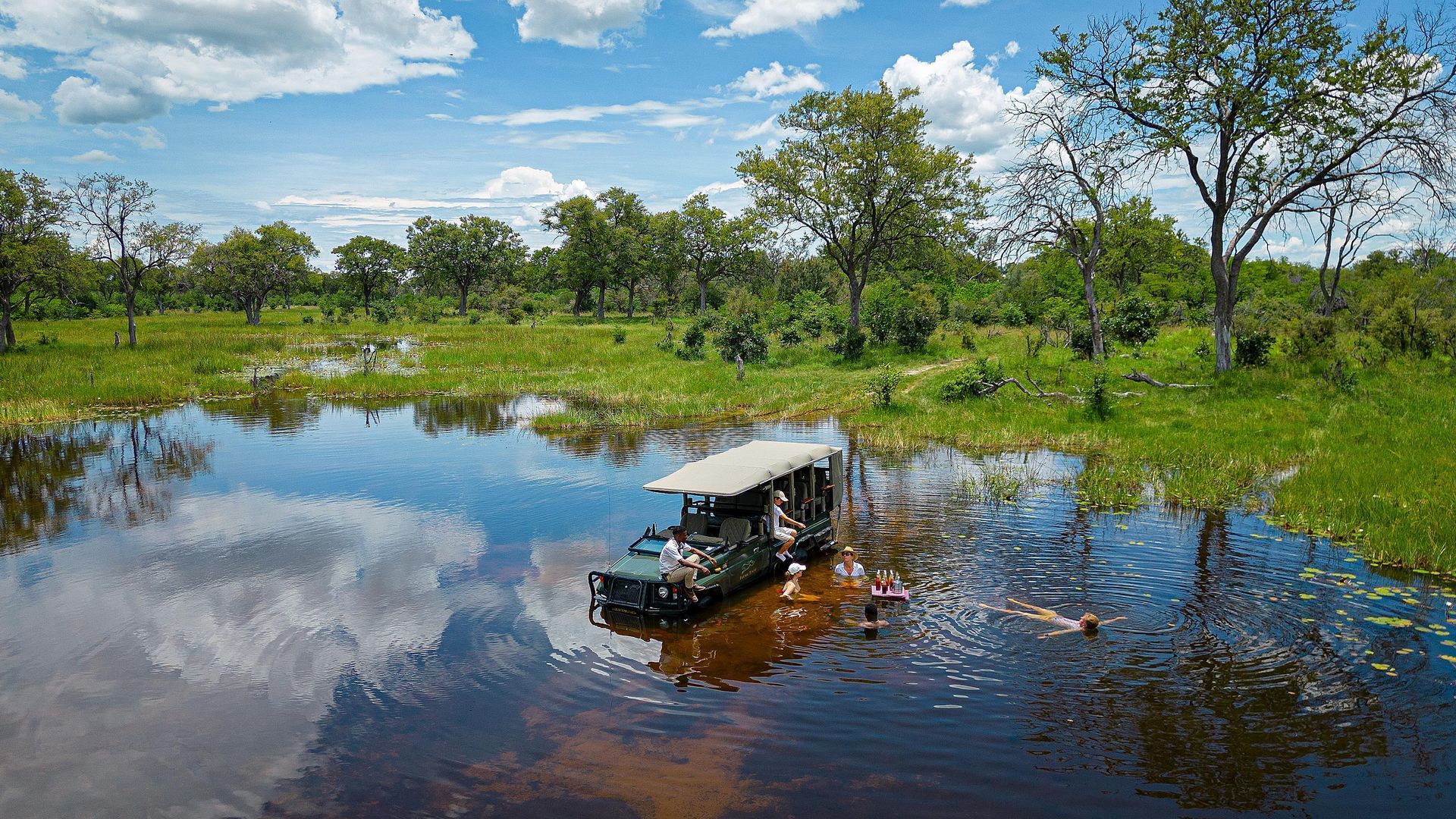 1920x1080 Feline Fields. Oh So Okavango!