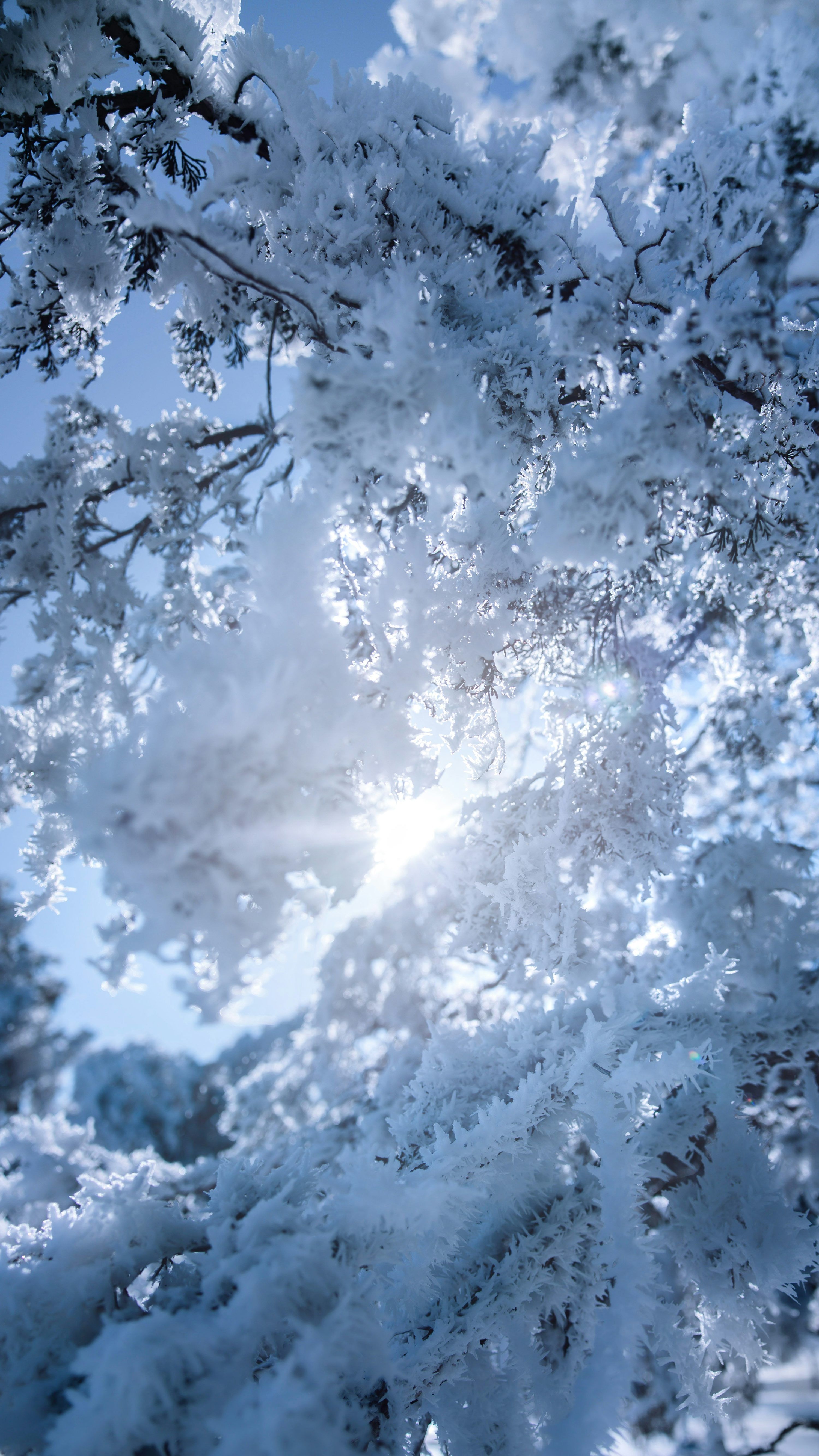 3000x5333 Cold Wallpaper Picture. Download Free Image