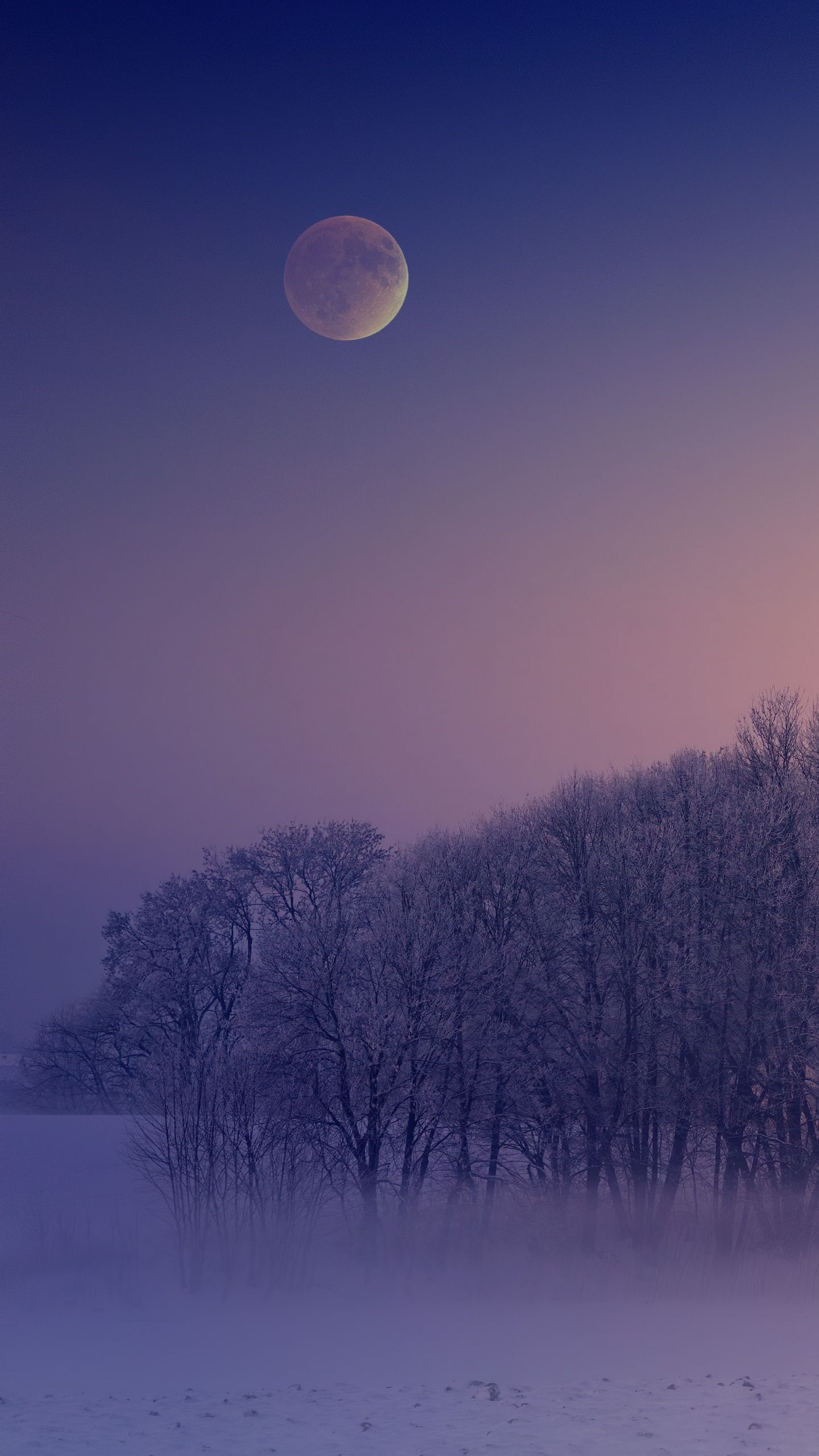 1440x2560 Winter Wallpaper 4K, Aesthetic, Morning, Foggy, Moon