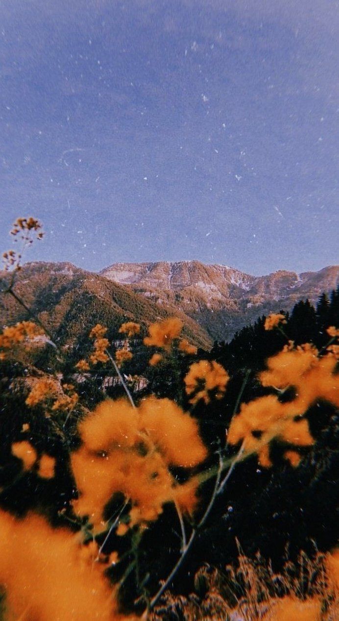 692x1267 Past the cold winter until the spring day comes