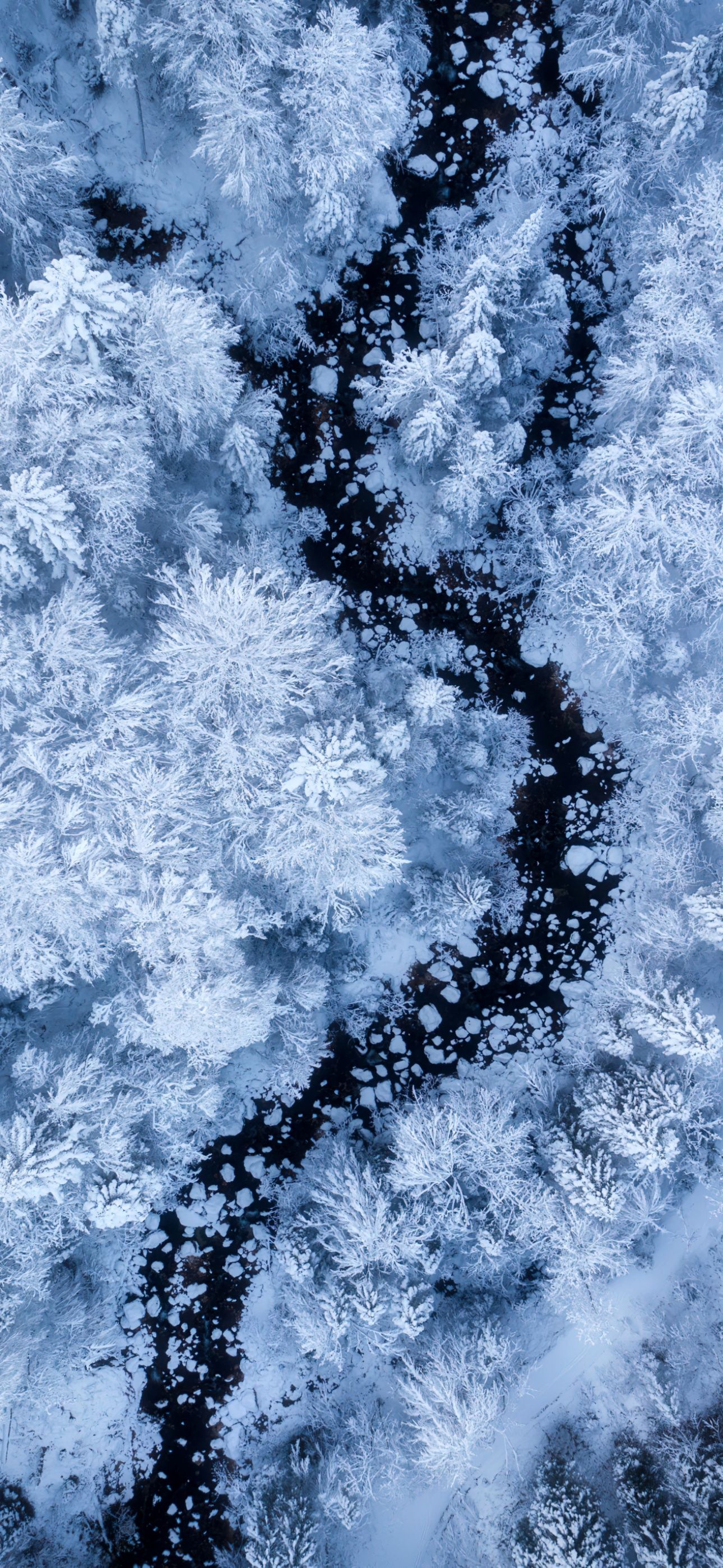 1290x2796 Winter iPhone Wallpaper and Background
