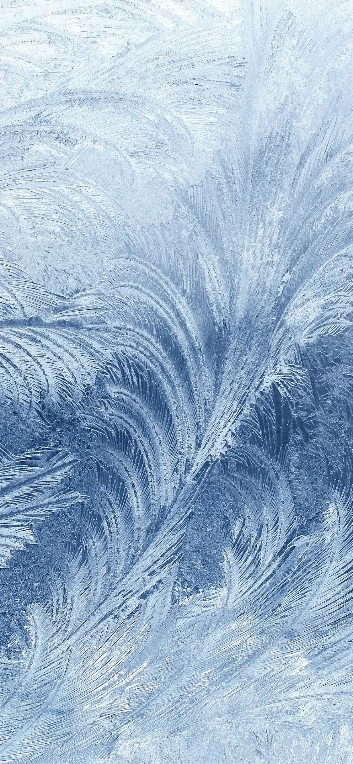 1125x2436 iPhoneXpapers snow window cold pattern