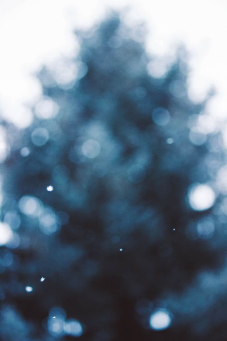 740x1110 Bokeh cold Image