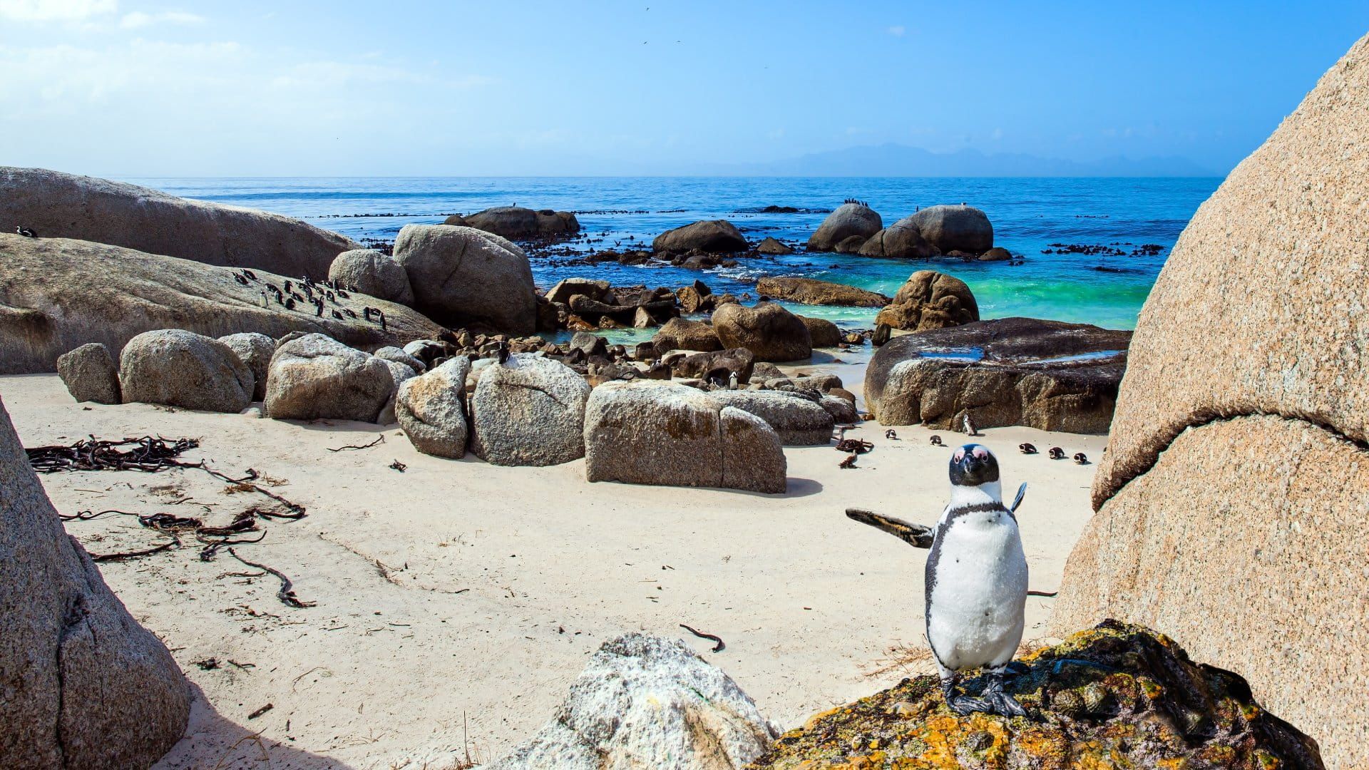 1920x1080 Must See Highlights Of Southern Africa