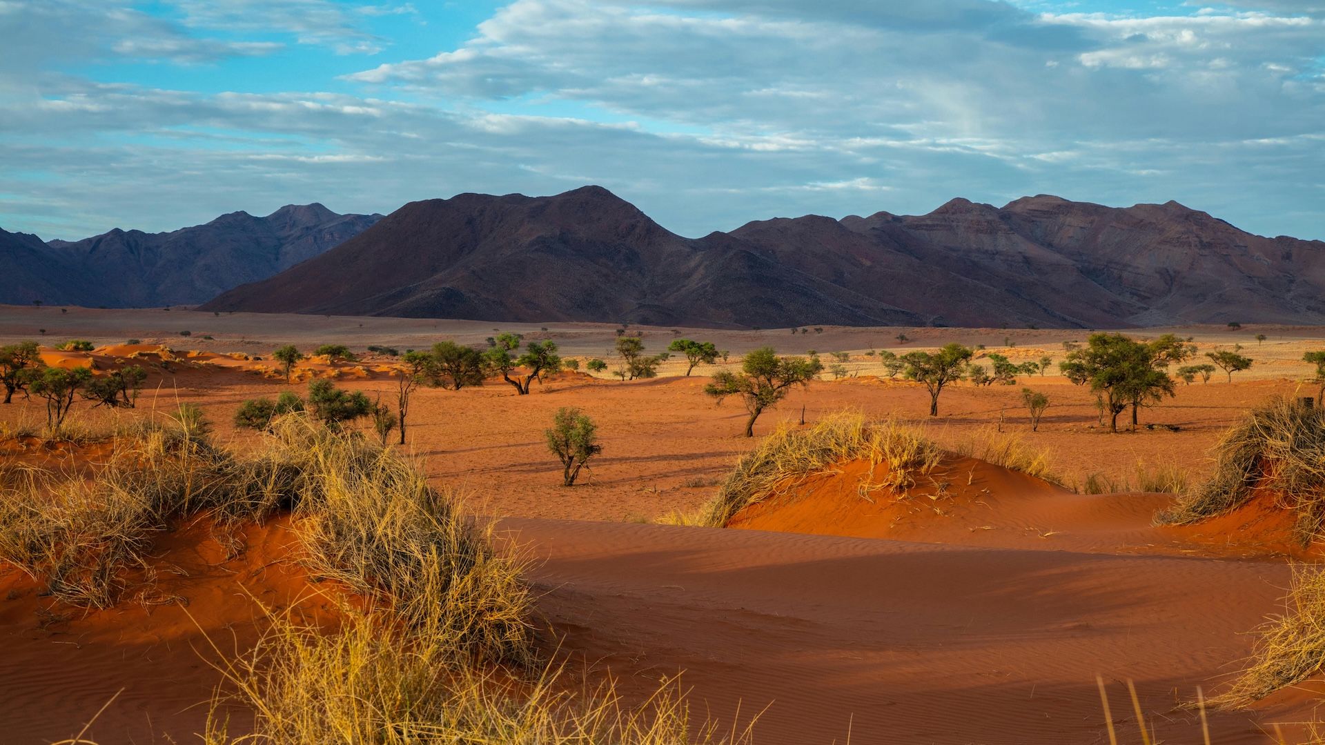 1920x1080 A Trip to Southern Africa