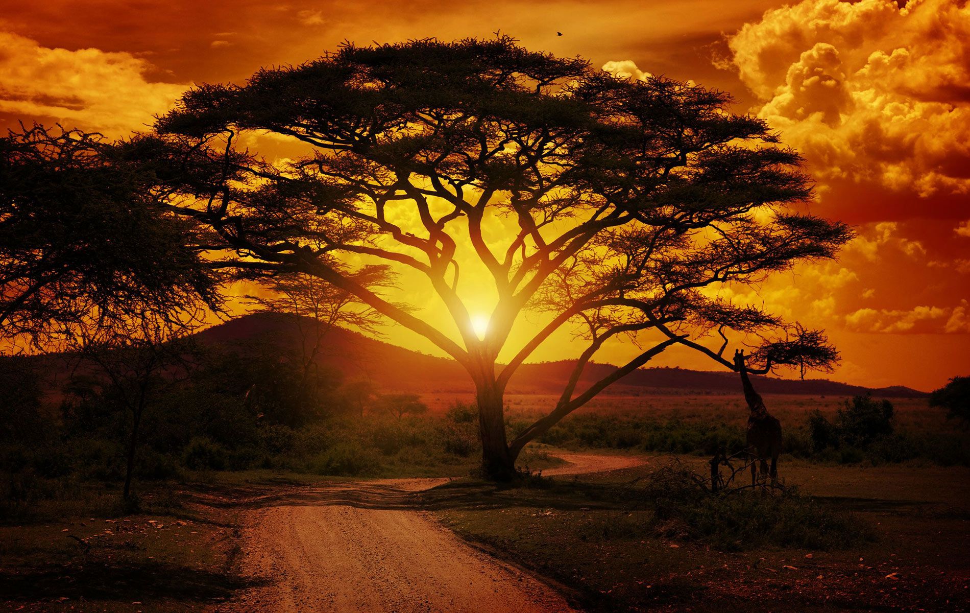1900x1200 SOUTH AFRICA