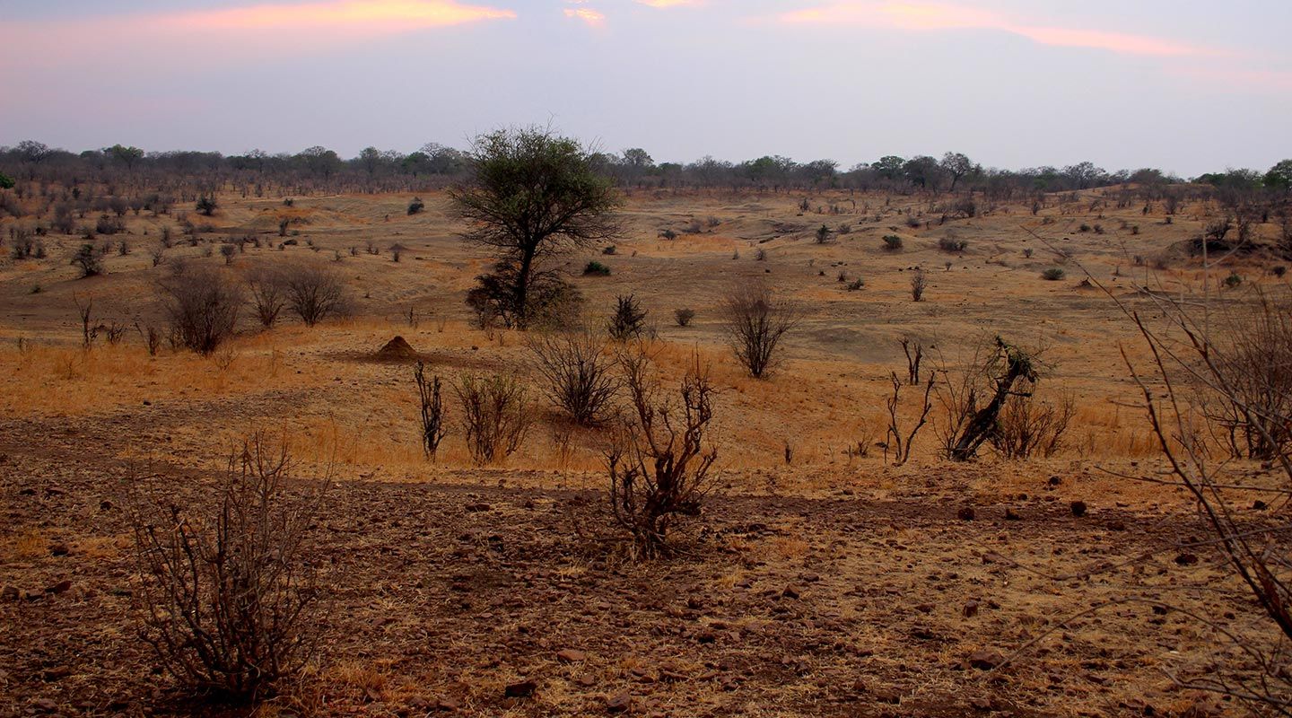 1440x800 Blog Voyage Size: Immersion In 4x4 In The Kalahari Desert