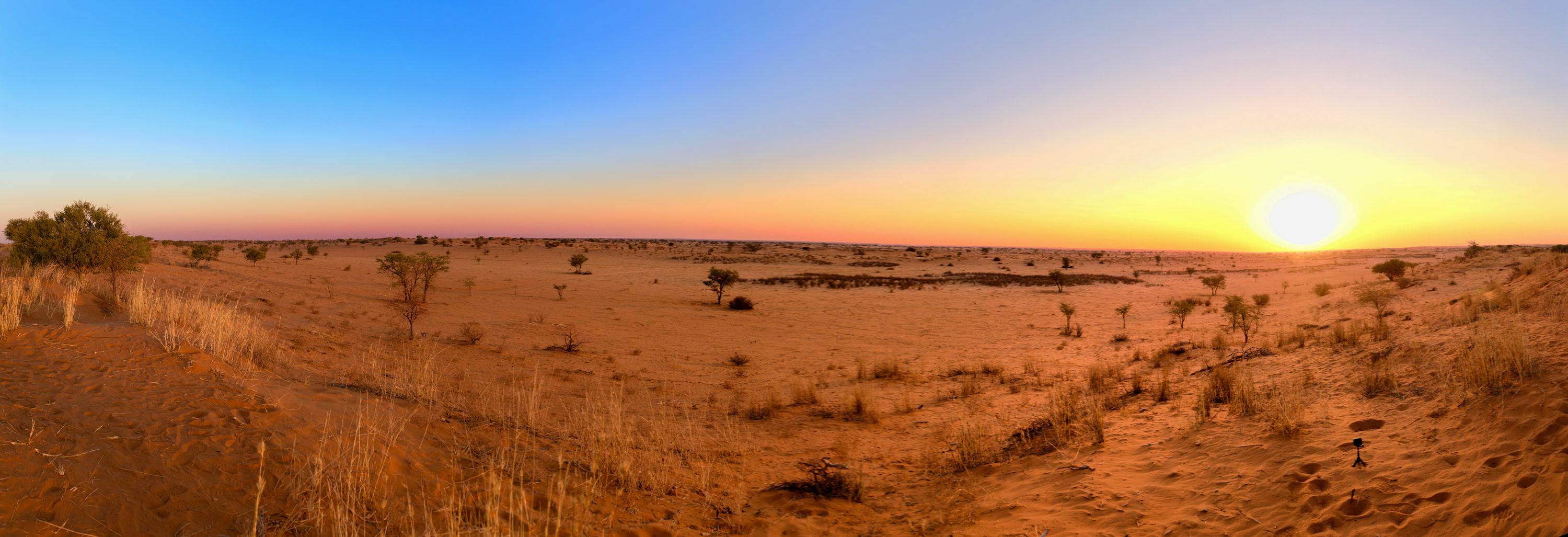 3000x1027 Kalahari Desert Picture. Download Free Image