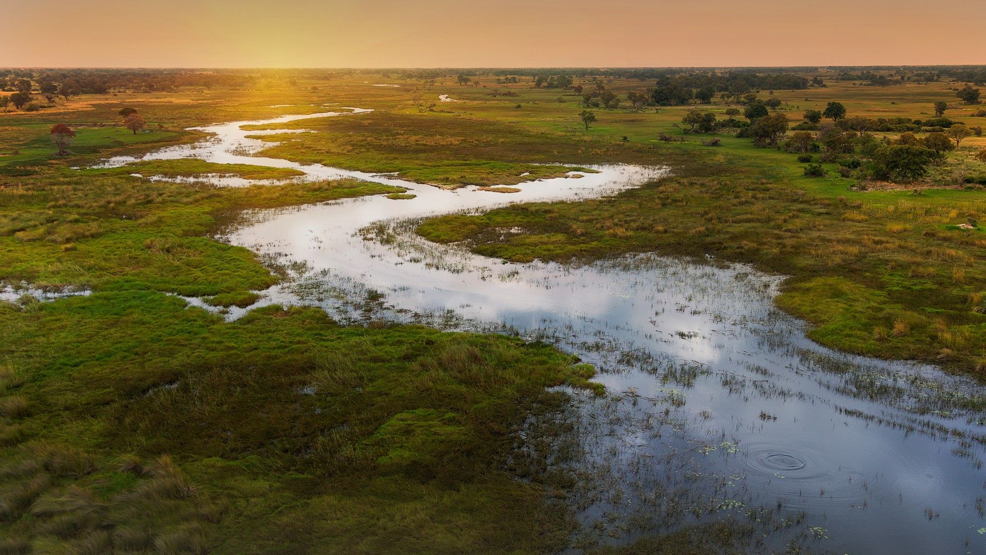 1920x1080 Sunset on Okavango Delta, Chobe National Park, Botswana, Africa. Windows Spotlight Image