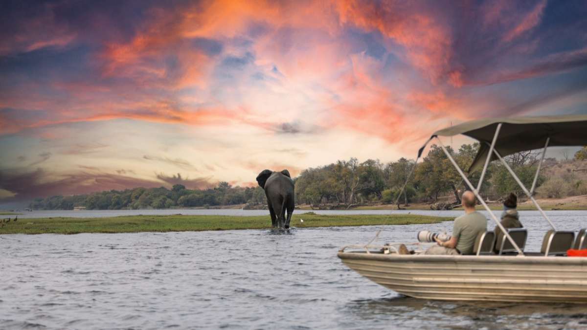 1200x675 Chobe National Park Safari Guide to Botswana